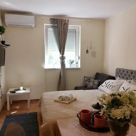 Apartmán Dunja Vrnjačka Banja