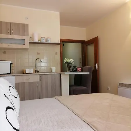 Apartment Dunja Vrnjacka Banja