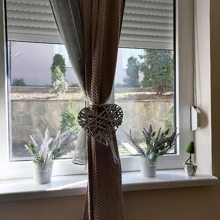 Dunja * Vrnjačka Banja