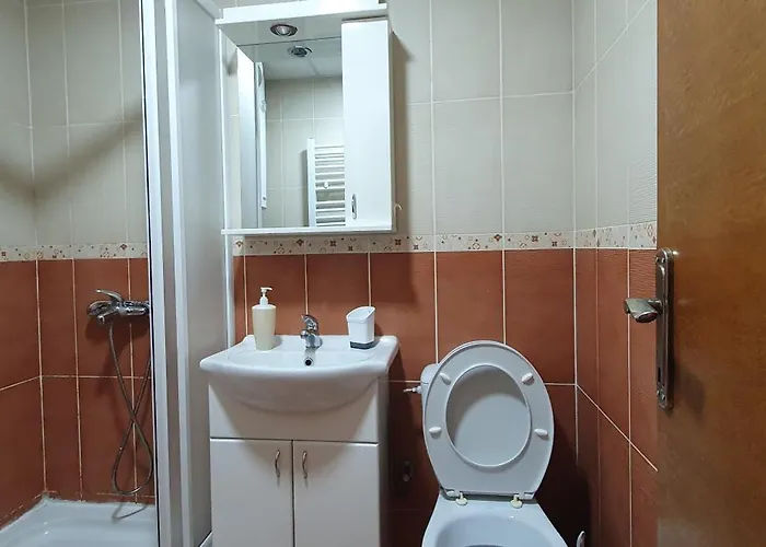 Dunja Apartamento Vrnjačka Banja