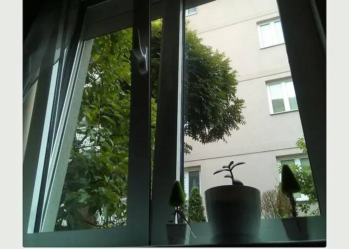 Dunja Vrnjačka Banja